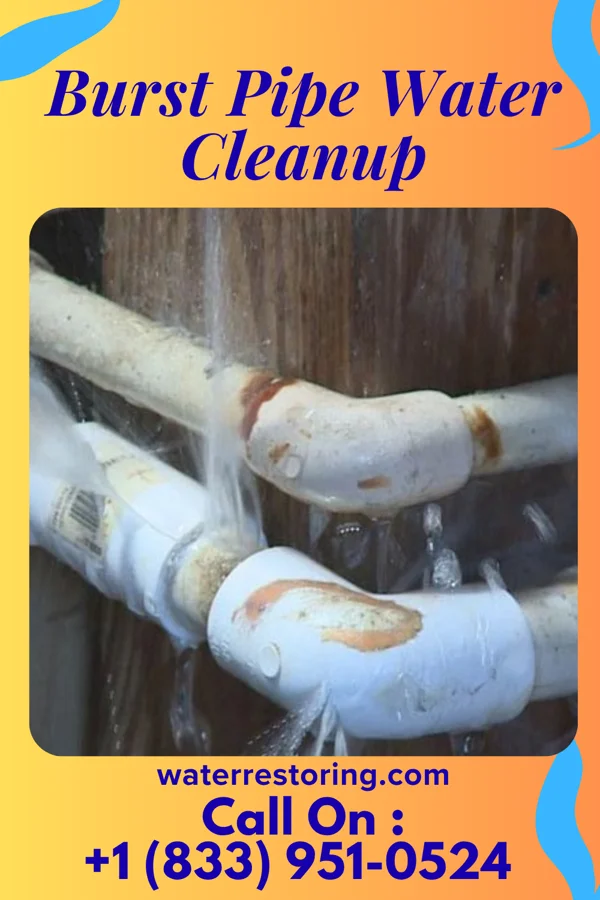 Burst Pipe Water Cleanup in Mount Vernon, IN