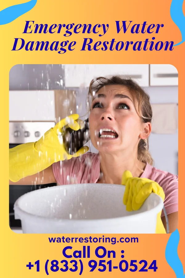 Emergency Water Damage Restoration in Mount Vernon, IN